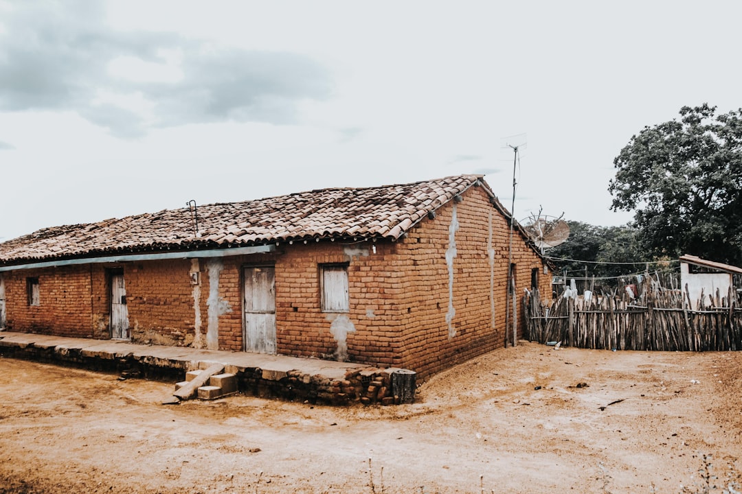 나무 위성부터 로봇 개까지: 2026 기술 혁신 3선