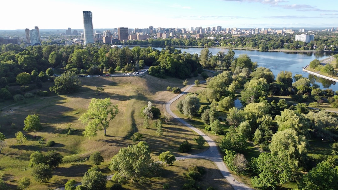 Cities Are Planting Urban Forests to Fight Heat and Pollution