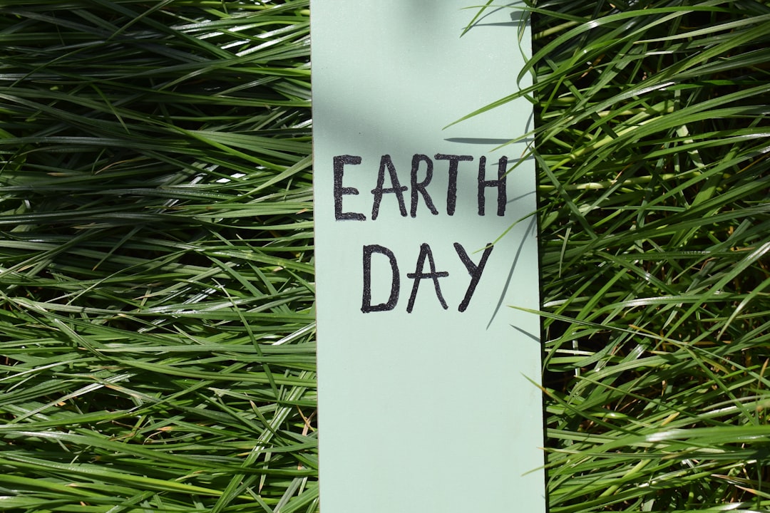 Earth Day 2026: Millions Worldwide Join Cleanups, Tree Planting, and Climate Action 본문 이미지