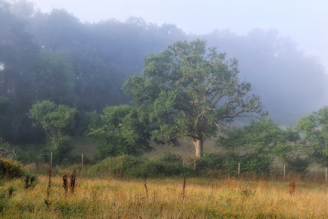 Prisons, Military Land, and Beavers: UK's Creative Plan to Save Nature in 2026