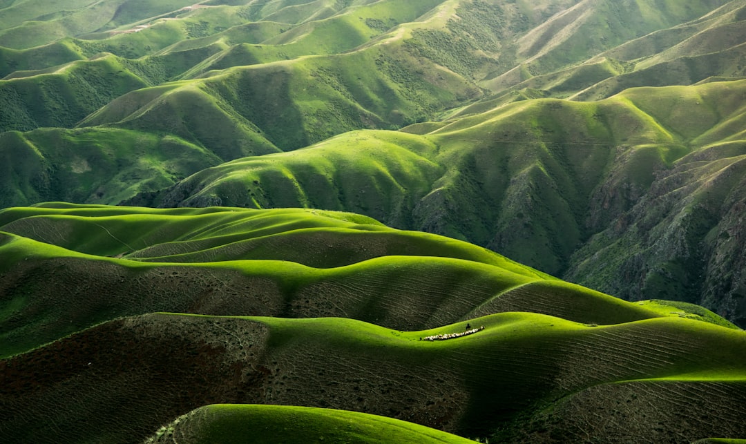 A Vision for Survival: How Equality and Nature Can Save Our Planet