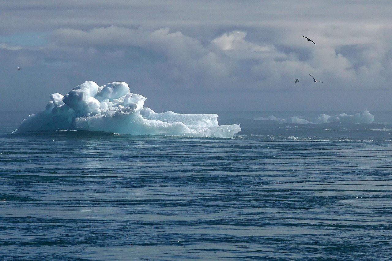 Antarctica's West Coast Facing Crisis as Sea Ice Levels Drop