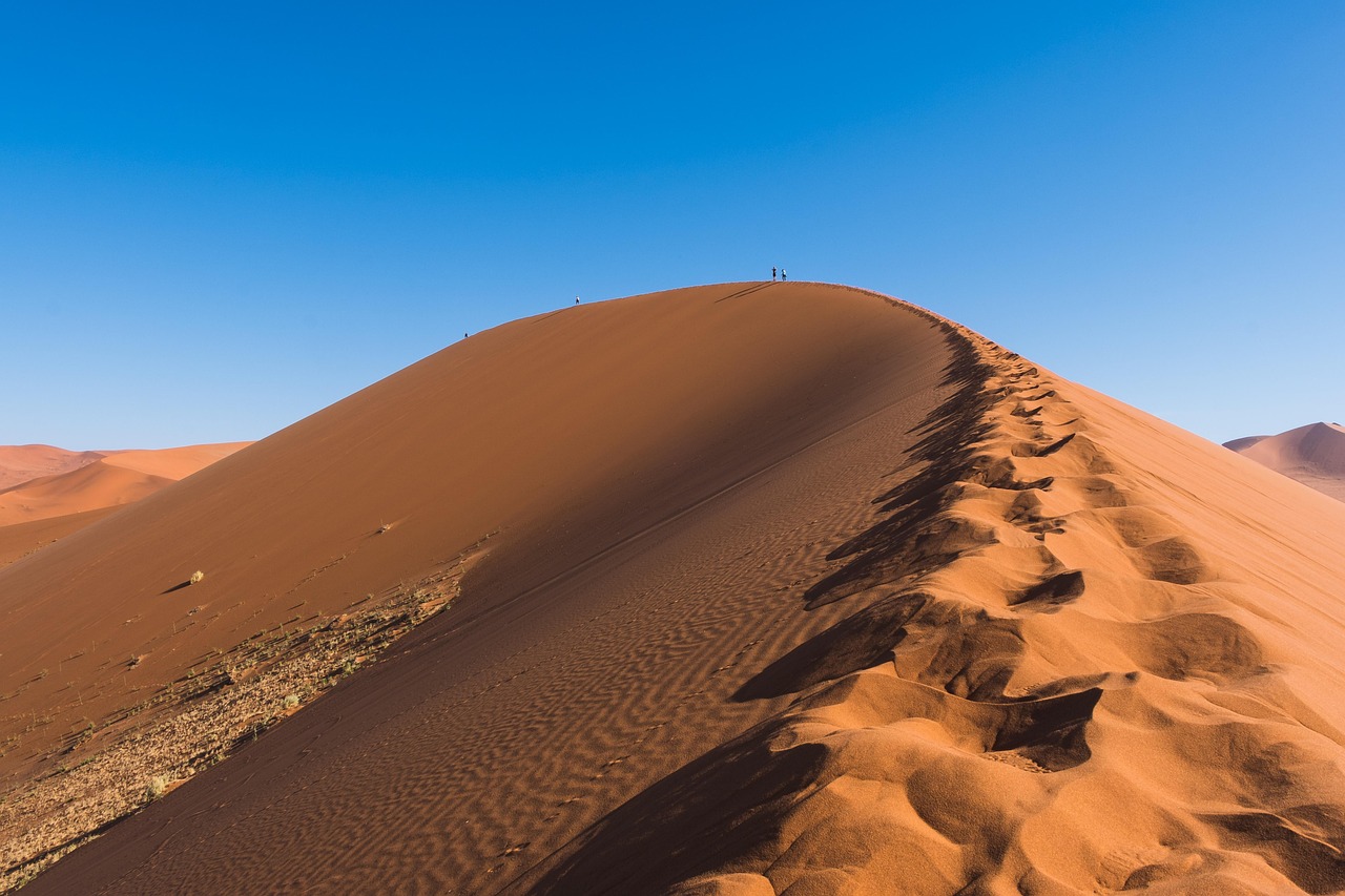 Extreme Heat and El Niño: Why the World is Facing Record Temperatures 본문 이미지