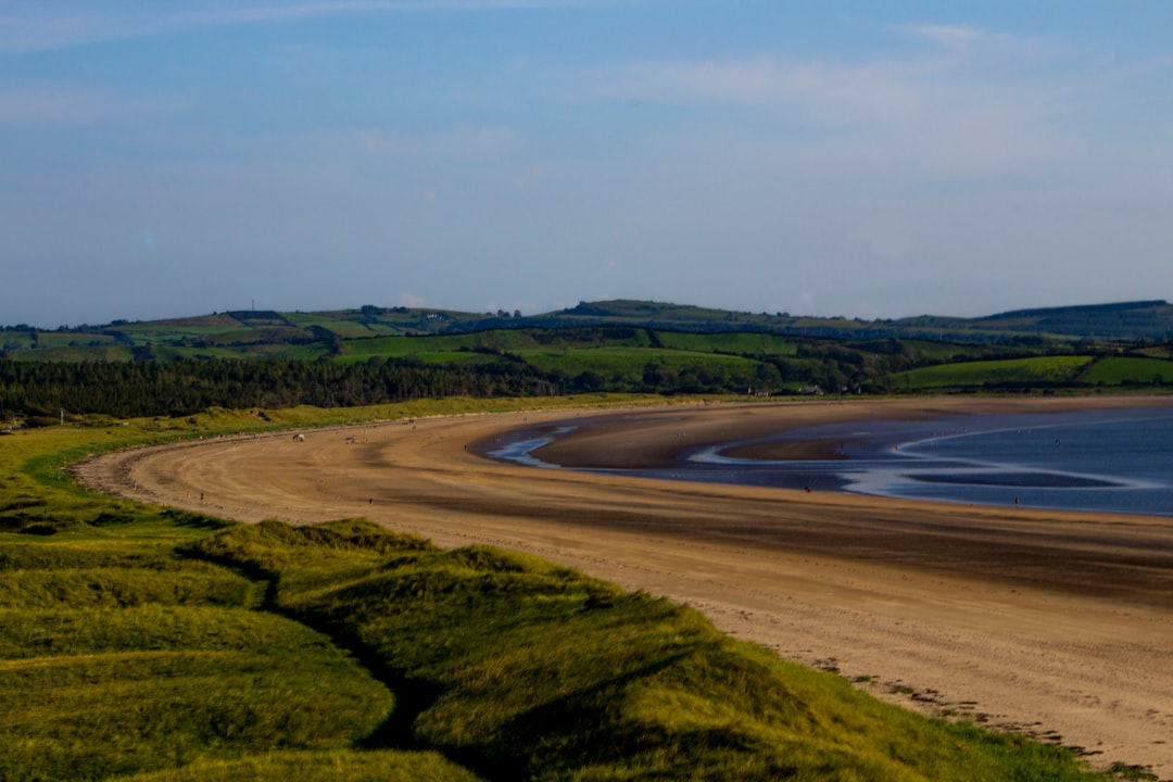 Extreme Marine Heatwave Threatens UK Ecosystems and Marine Life 본문 이미지
