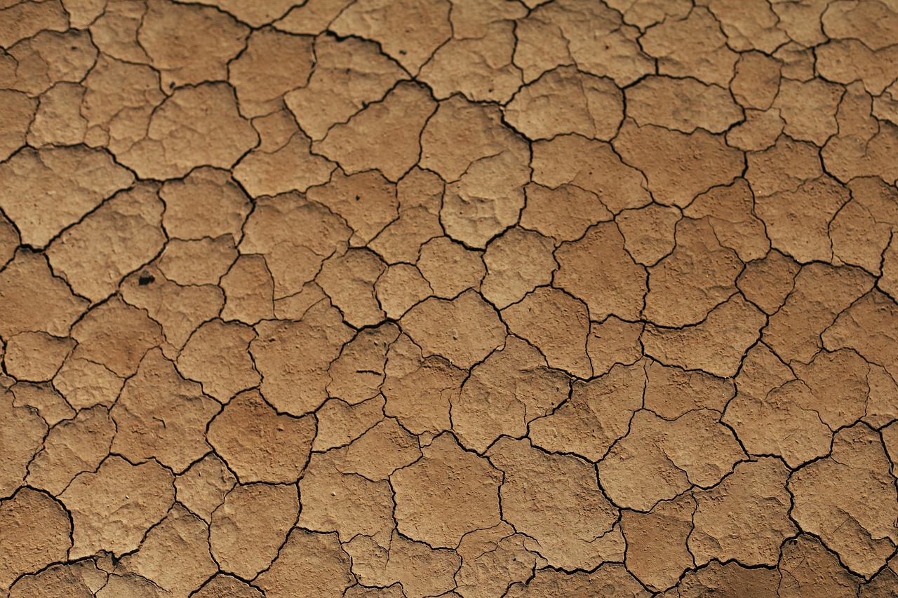 Europe's Thirsty Atmosphere: Extreme Drought and Heatwaves Hit the Continent 본문 이미지