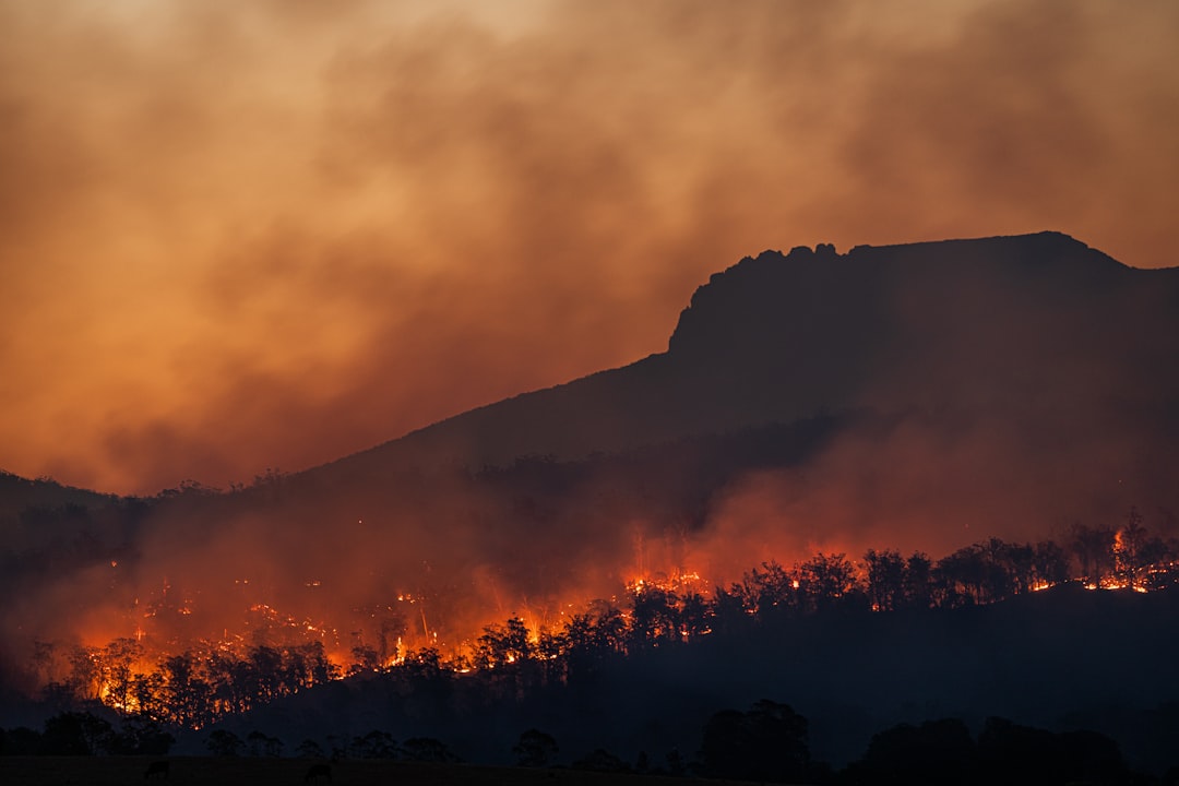 Extreme Drought and Wildfires Devastate UK Landscapes and Wildlife