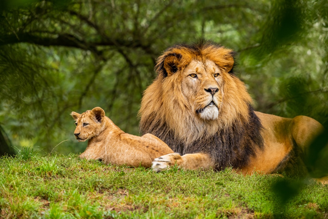 Nature in Flux: How Heatwaves and Drought Impact Wildlife and Crops