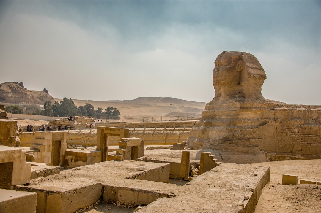 New Evidence Suggests Ancient Egyptian Servants Were Sacrificed 본문 이미지