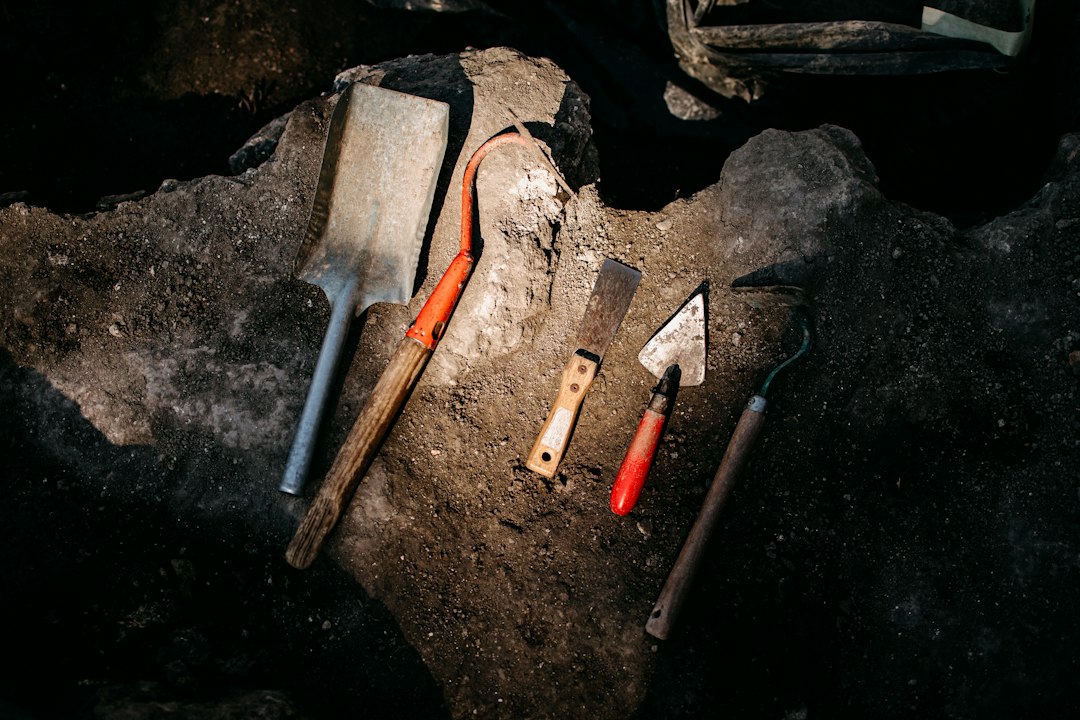 New Evidence Suggests Ancient Egyptian Servants Were Sacrificed